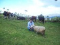 /album/fotogaleria-finca-sibate/a1-jpg/
