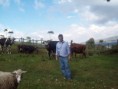 /album/fotogaleria-finca-sibate/a2-jpg/